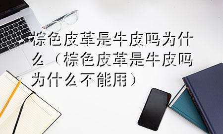 棕色皮革是牛皮吗为什么（棕色皮革是牛皮吗为什么不能用）