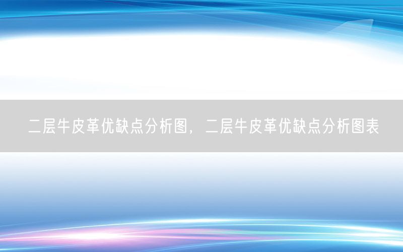 二层牛皮革优缺点分析图，二层牛皮革优缺点分析图表