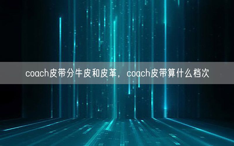 coach皮带分牛皮和皮革，coach皮带算什么档次