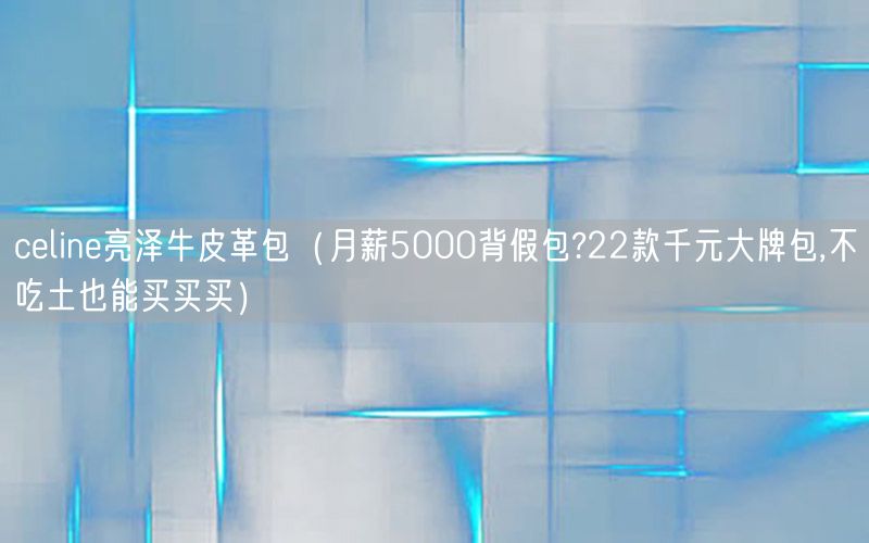 celine亮泽牛皮革包（月薪5000背假包?22款千元大牌包,不吃土也能买买买）