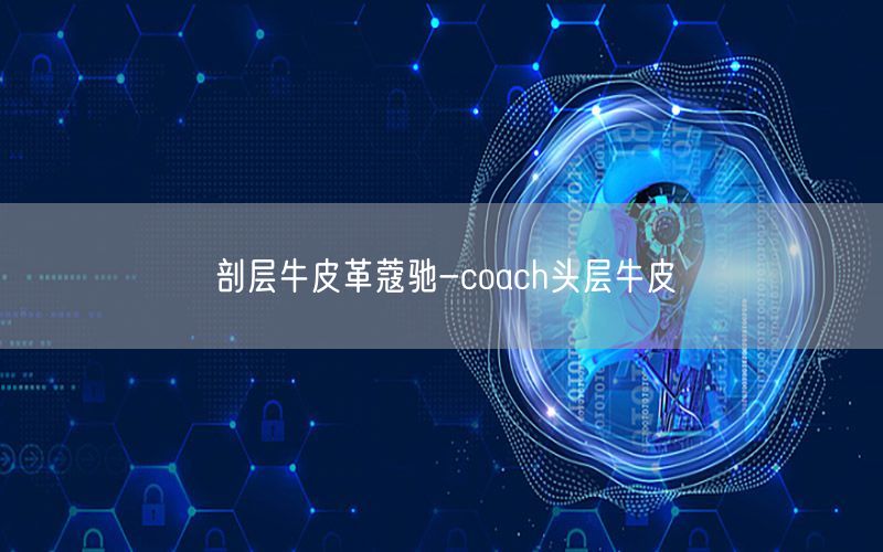 剖层牛皮革蔻驰-coach头层牛皮