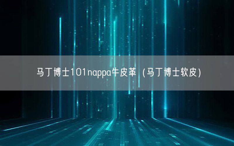 马丁博士101nappa牛皮革（马丁博士软皮）