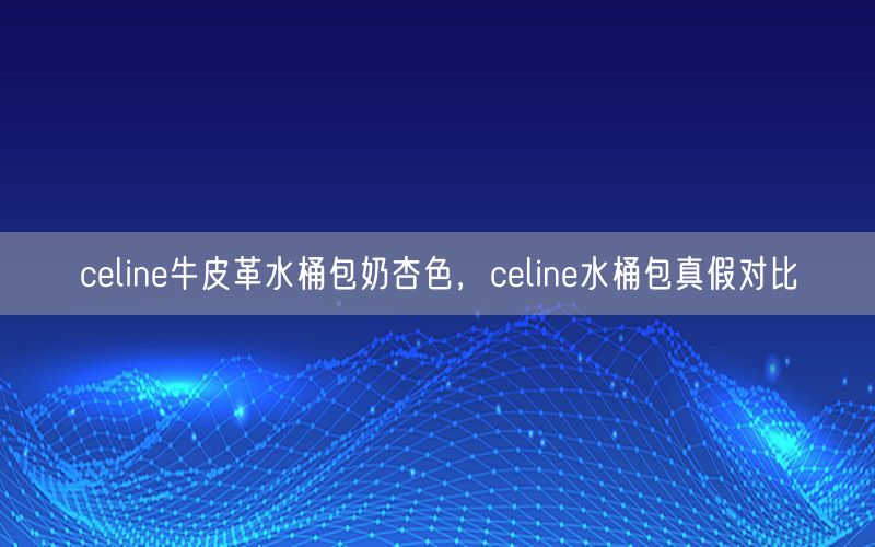 celine牛皮革水桶包奶杏色，celine水桶包真假对比