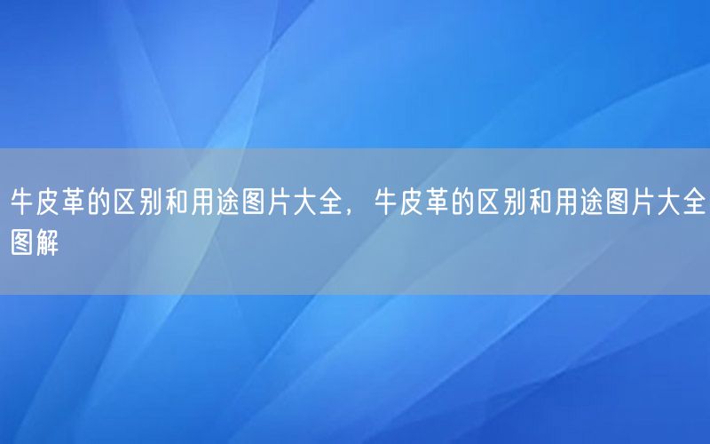 牛皮革的区别和用途图片大全，牛皮革的区别和用途图片大全图解