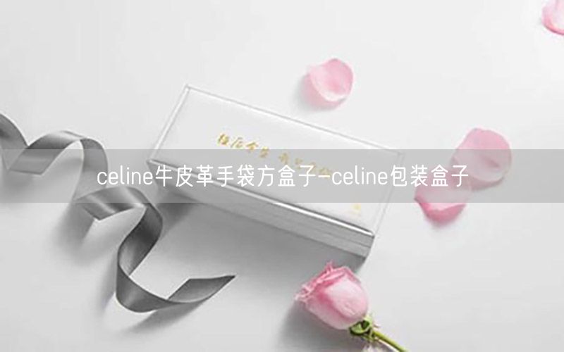 celine牛皮革手袋方盒子-celine包装盒子