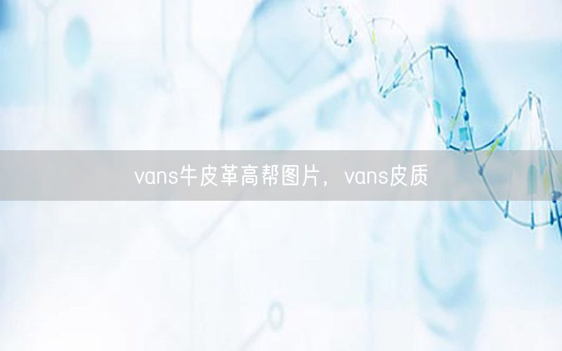 vans牛皮革高帮图片，vans皮质