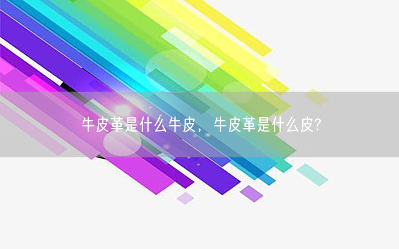 牛皮革是什么牛皮，牛皮革是什么皮?