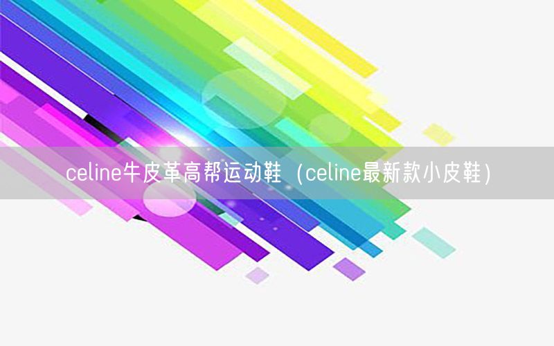 celine牛皮革高帮运动鞋（celine最新款小皮鞋）