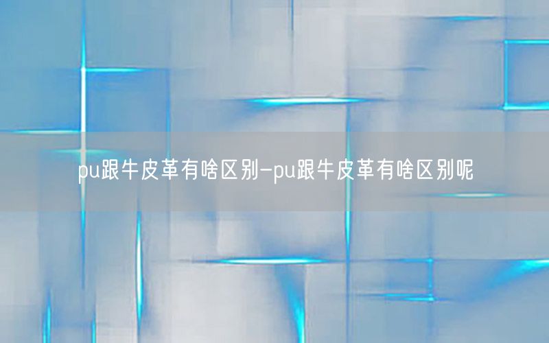 pu跟牛皮革有啥区别-pu跟牛皮革有啥区别呢