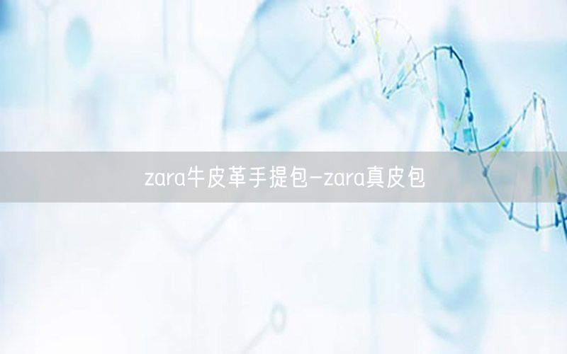 zara牛皮革手提包-zara真皮包