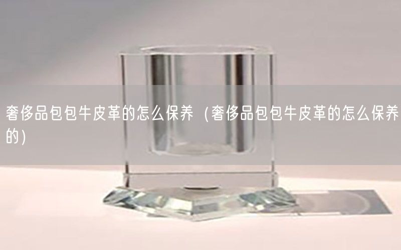 奢侈品包包牛皮革的怎么保养（奢侈品包包牛皮革的怎么保养的）