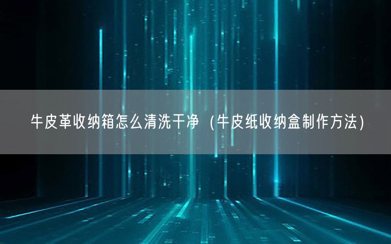 牛皮革收纳箱怎么清洗干净（牛皮纸收纳盒制作方法）