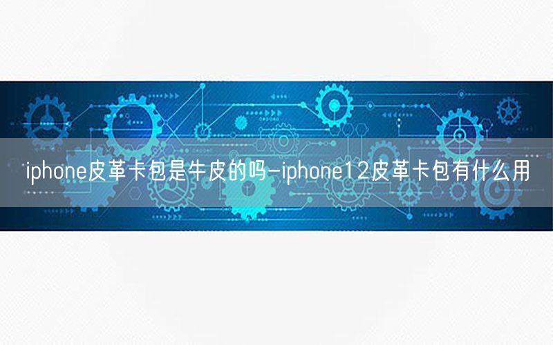 iphone皮革卡包是牛皮的吗-iphone12皮革卡包有什么用