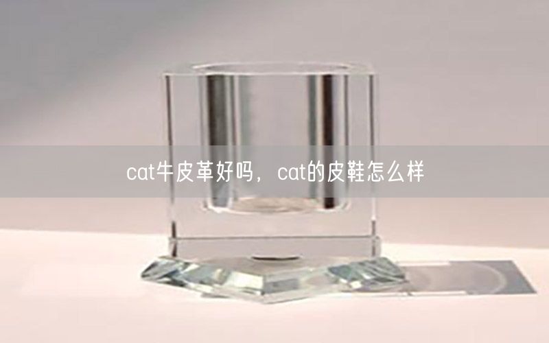 cat牛皮革好吗，cat的皮鞋怎么样