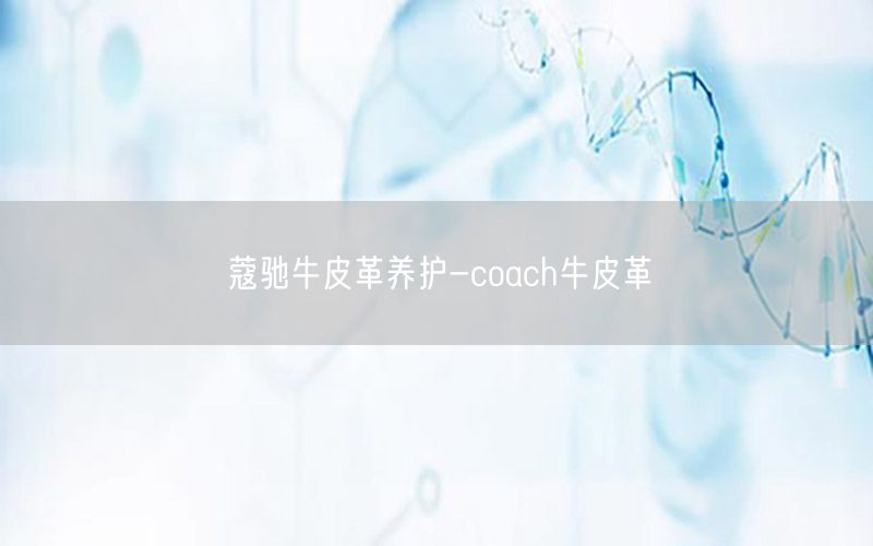 蔻驰牛皮革养护-coach牛皮革