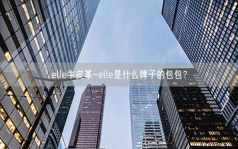 elle牛皮革-elle是什么牌子的包包？