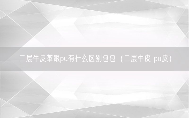 二层牛皮革跟pu有什么区别包包（二层牛皮 pu皮）