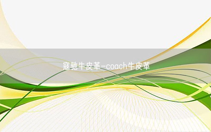 寇驰牛皮革-coach牛皮革