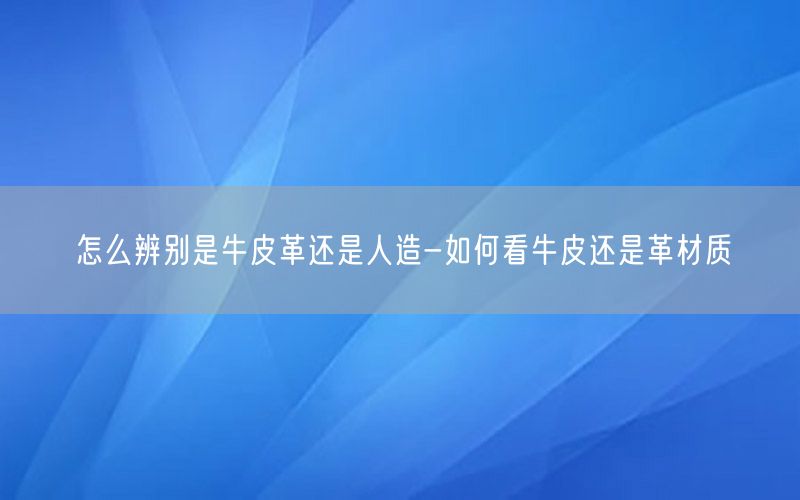 怎么辨别是牛皮革还是人造-如何看牛皮还是革材质